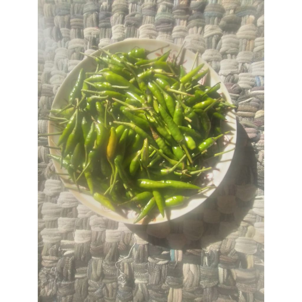 

Cabe Rawit Cabai Hijau Segar Lombok Fresh Kiloan 1/2 kg 500gr - Aneka Bumbu Dapur