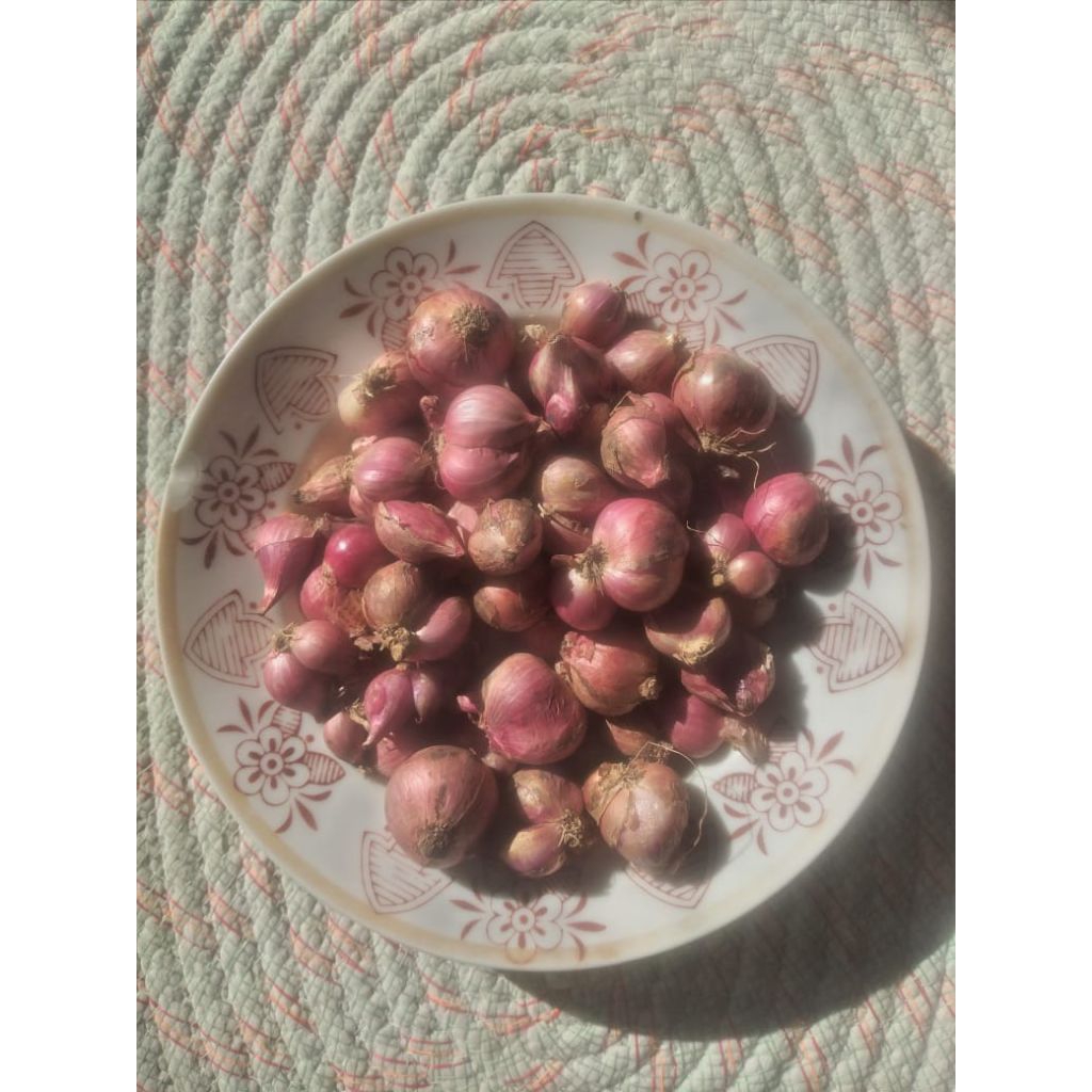 

Bawang Merah Brambang Besar Campur Segar Fresh Kiloan 1/4 kg 250gr - Aneka Bumbu Dapur