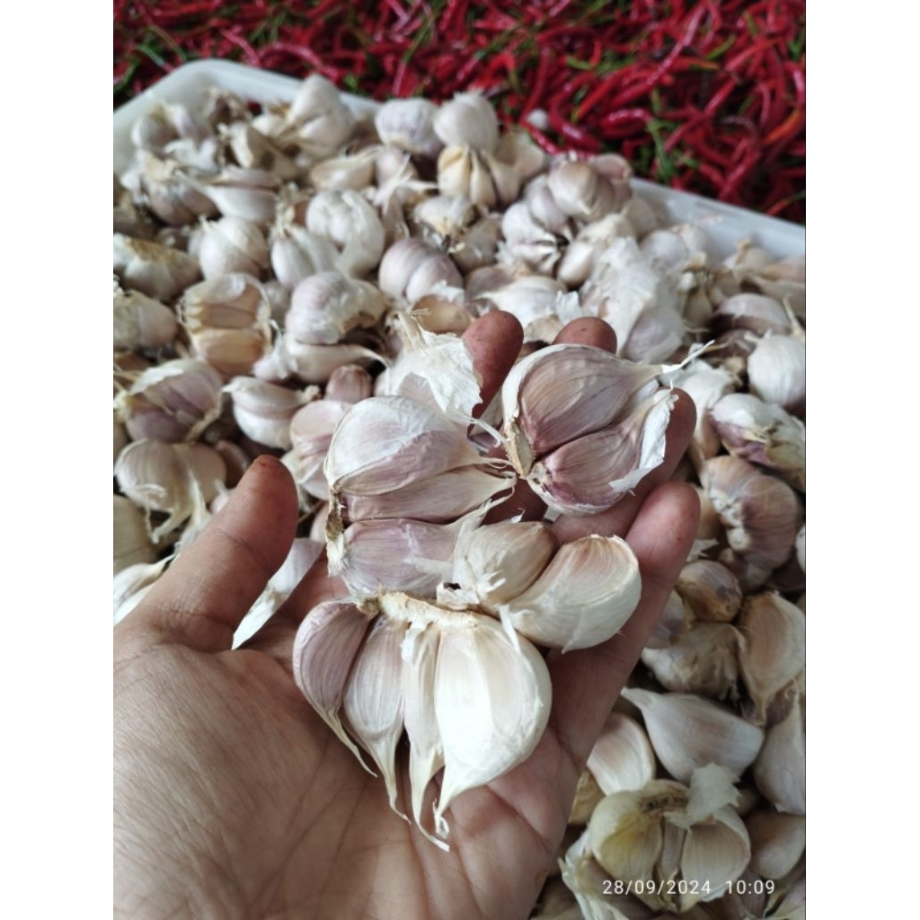 

bawang putih kating 1kg