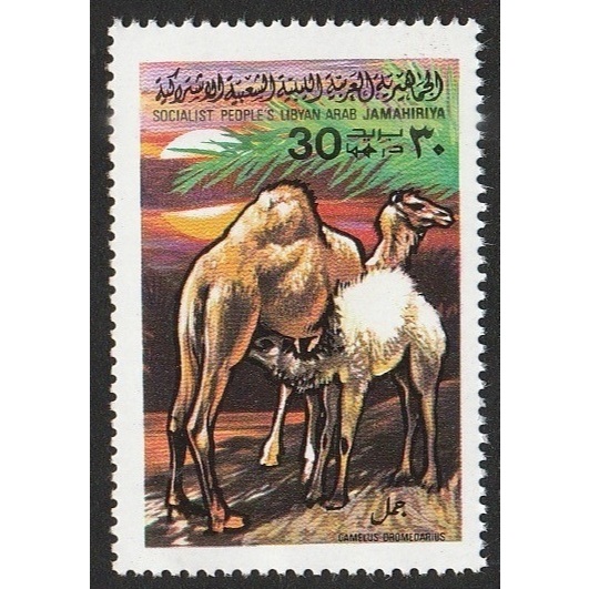 

A 10173 SATU BUAH PRANGKO LYBIA TEMA SATWA CAMELUS OLOMEOARIUS DENGAN KONDISI BELUM ADA CAP