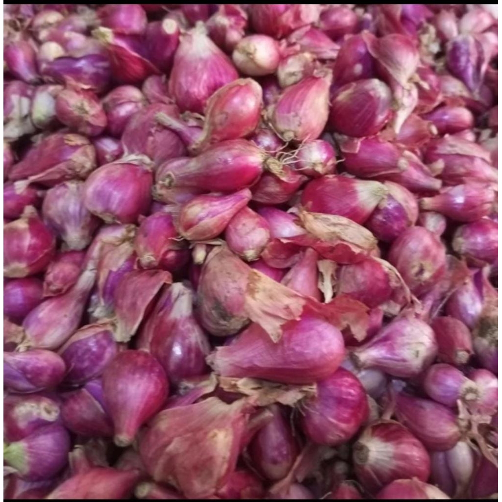 

bawang merah 250 gram