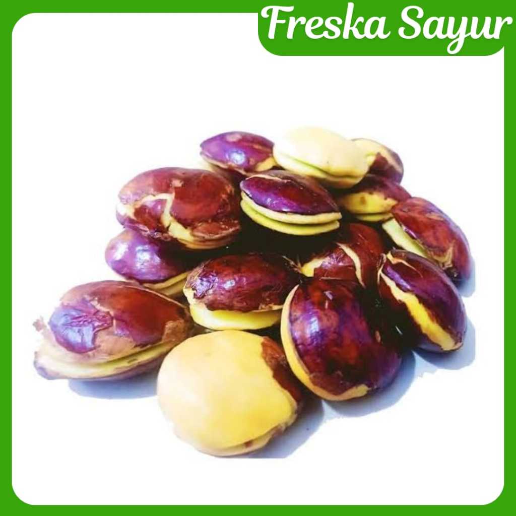 

Jengkol Tua Segar 1 Pack I Cocok Untuk Lalapan I Semur & Balado