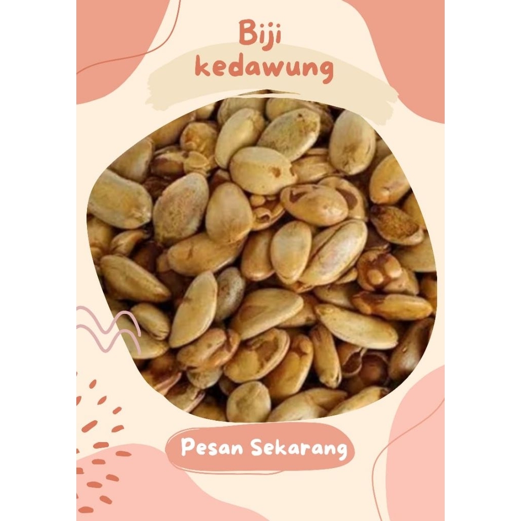 

biji Kedawung jumbo matang 500gr