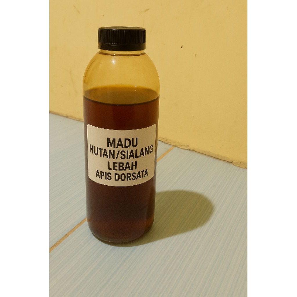 

Madu Hutan Murni dan Asli Asal Riau, Stok Terbatas 100% Asli dan Murni nektar tanaman hutan Tanpa Campuran, Tidak ASLI UANG Anda Kembali