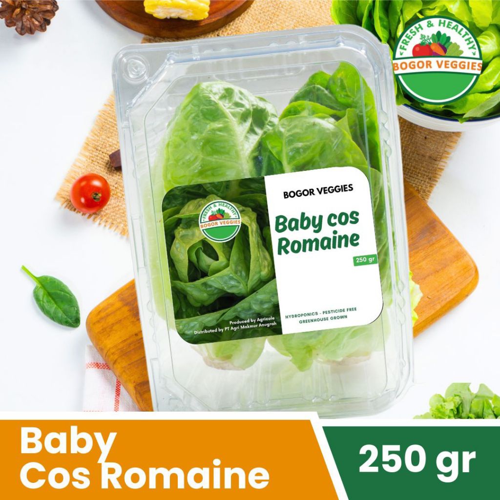 

Baby Cos Romaine 250gr Bogor Veggies
