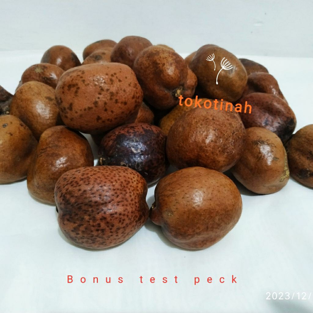 

Zuriat 500 gram Singel buat promil asli Mesir