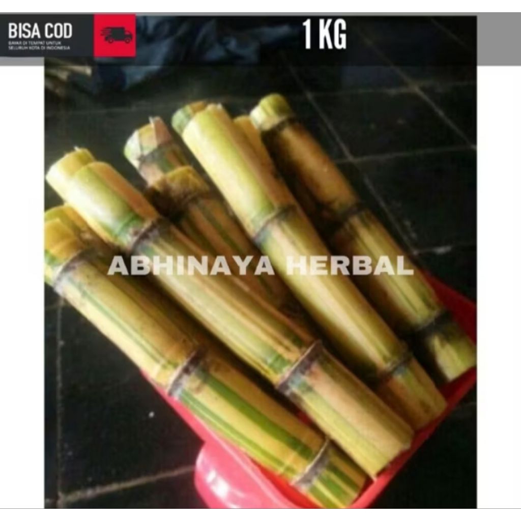 

TEBU KUNING SEGAR - TEBU KUNING MANIS 500GRAM