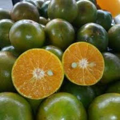 

JERUK PERAS SEGAR BEST SELLER