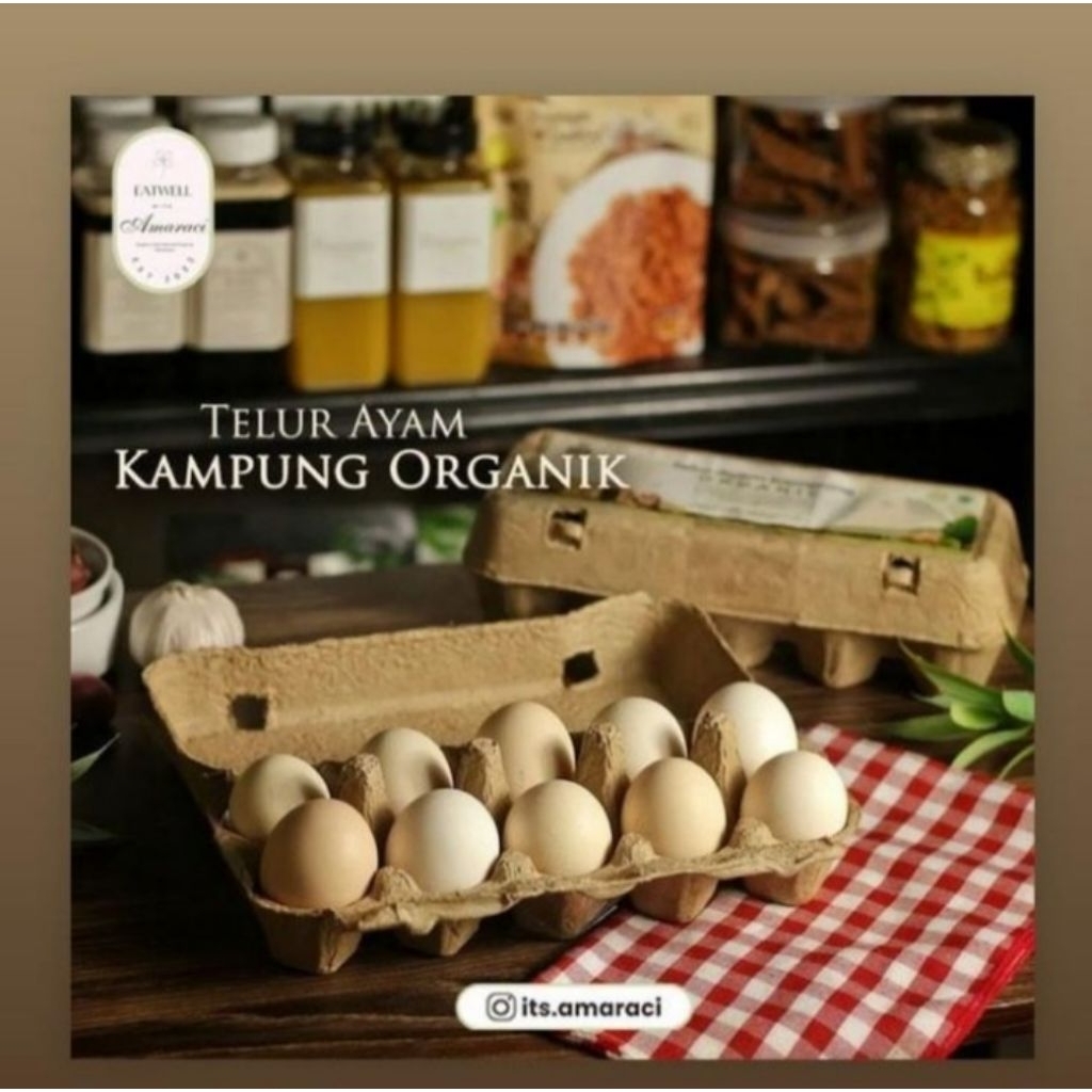 

Telur Ayam Kampung Organik