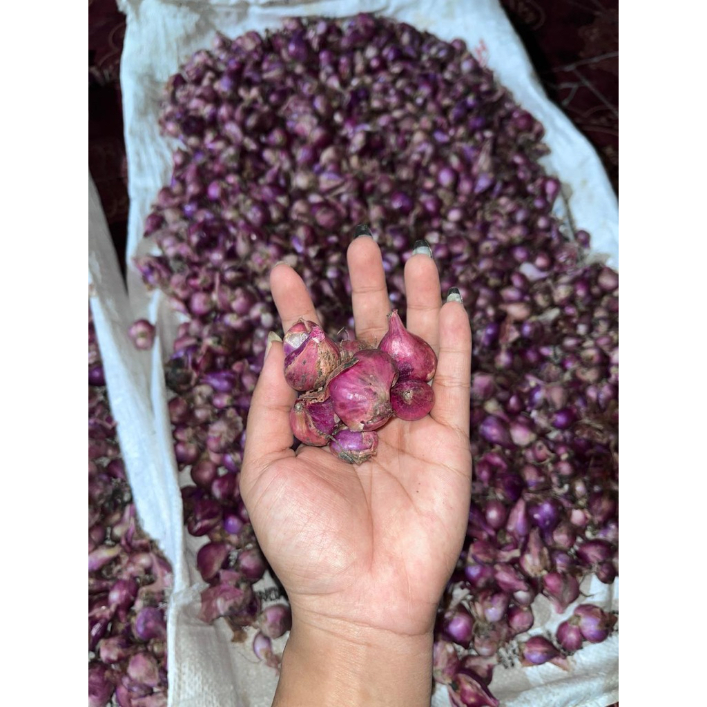 

BAWANG MERAH SUPER 1Kg