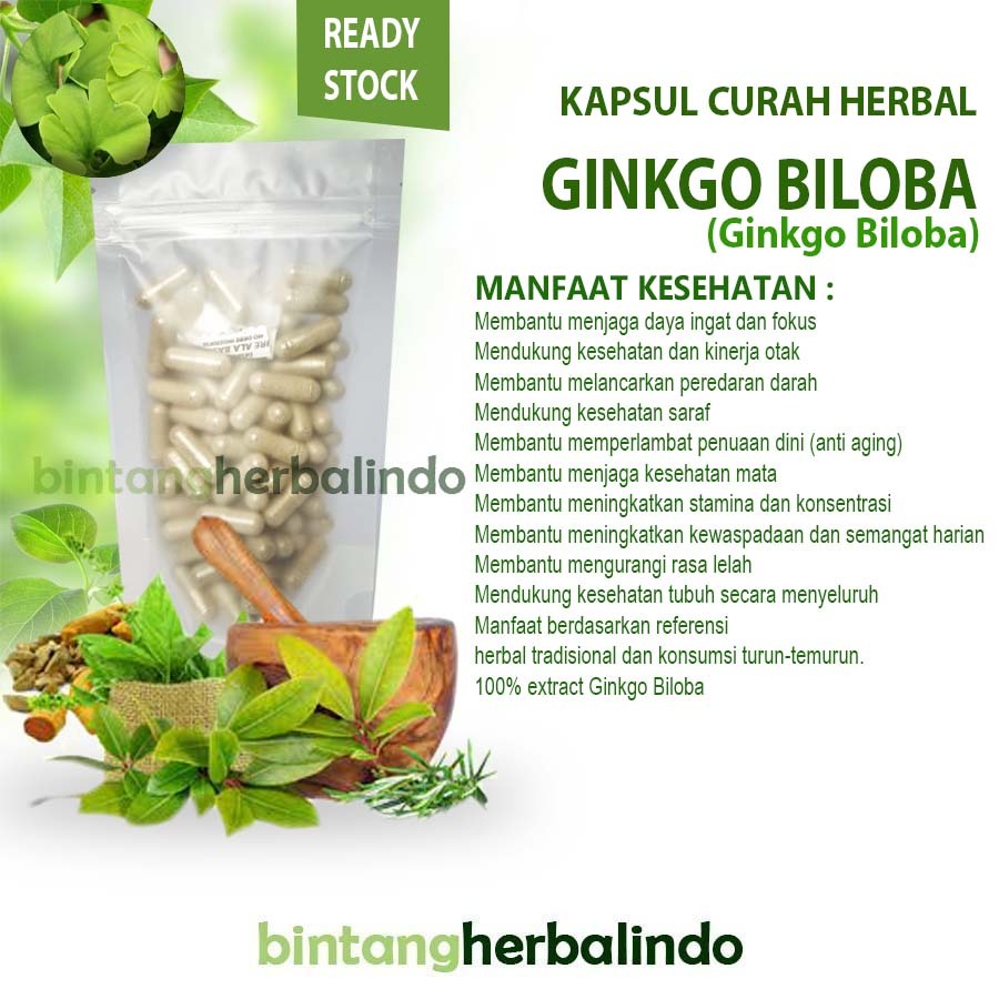GINKGO BILOBA 100 Kapsul Curah – Herbal Daya Ingat, Fokus, Konsentrasi, Anti Aging & Stamina Tubuh