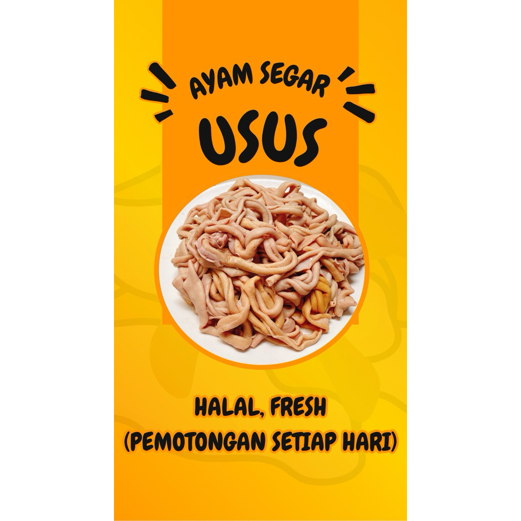 

Ayam Segar, Usus