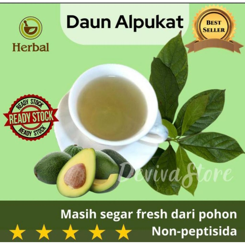 

500Gram daun alpukat segar baru petik