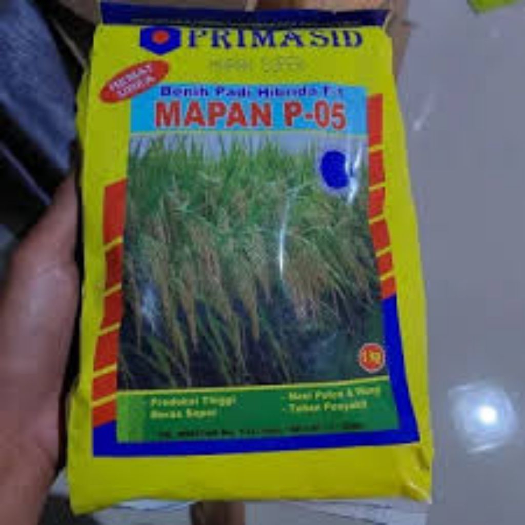 bibit padi mapan p05 100%original