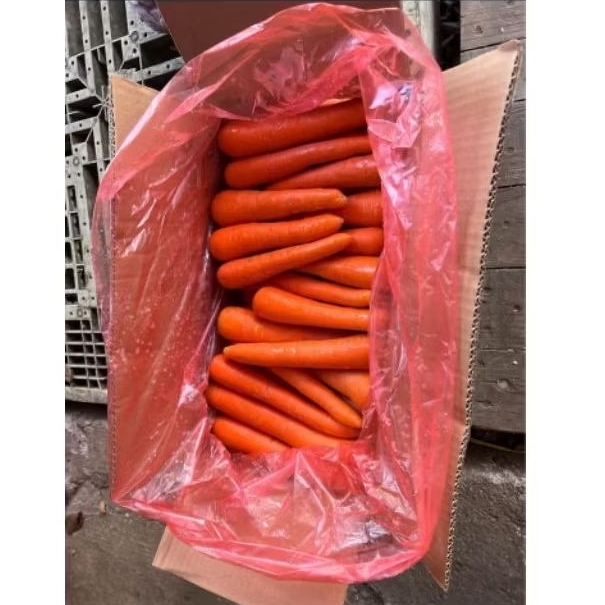 

Wortel Manis Berastagi Fresh, Berat per 5KG-10KG