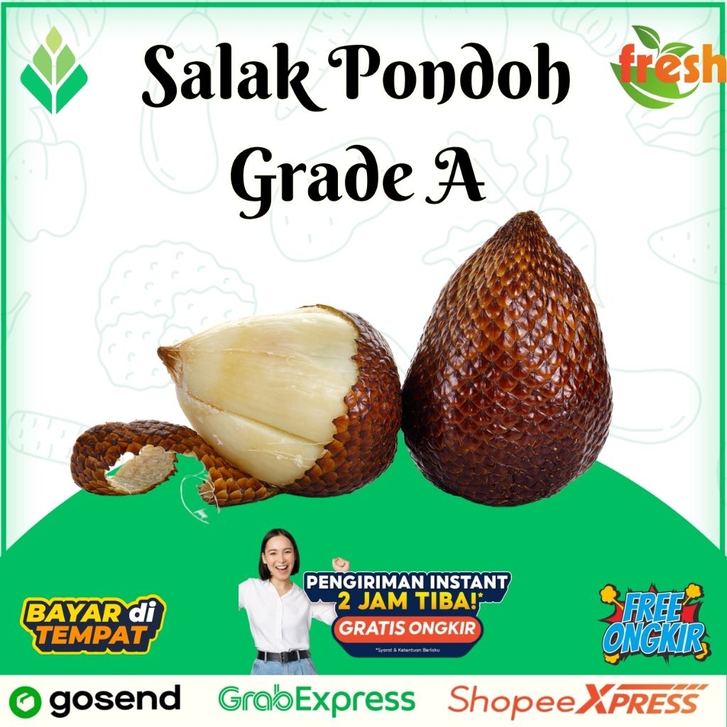 

Salak Pondoh Grade A kualitas supermarket salak manis legit