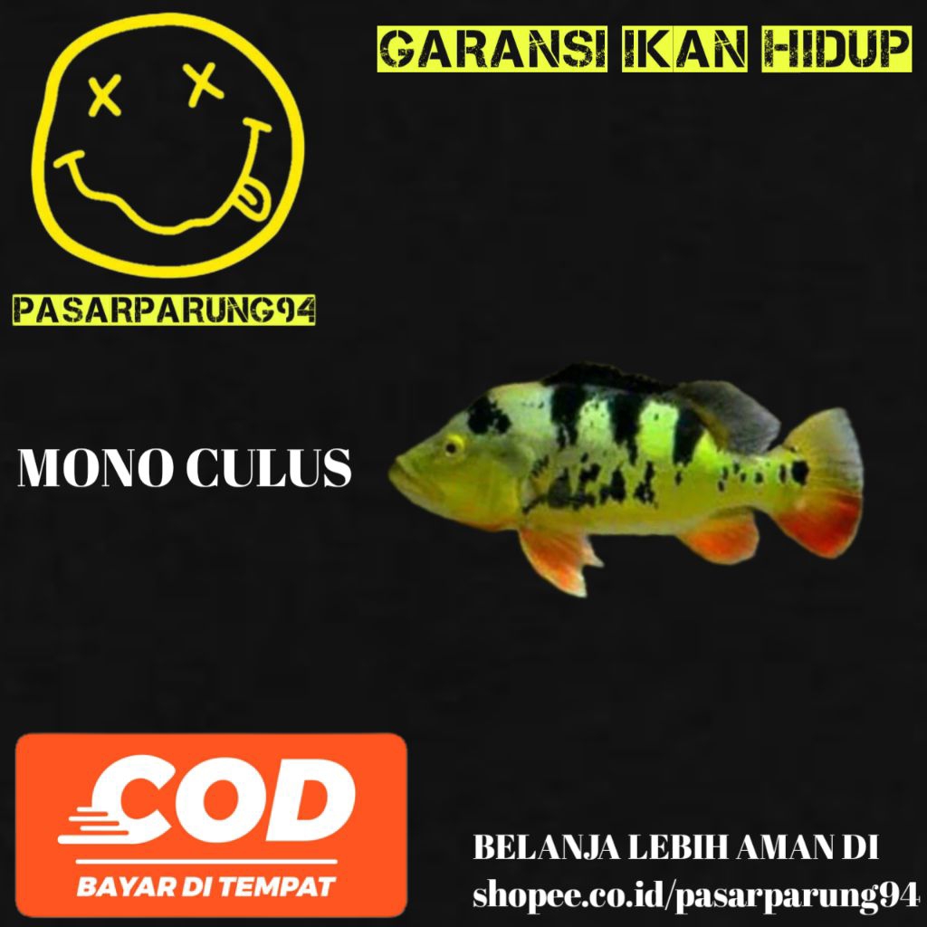 kebutuhan aquarium pbass mono size 4-5-6cm