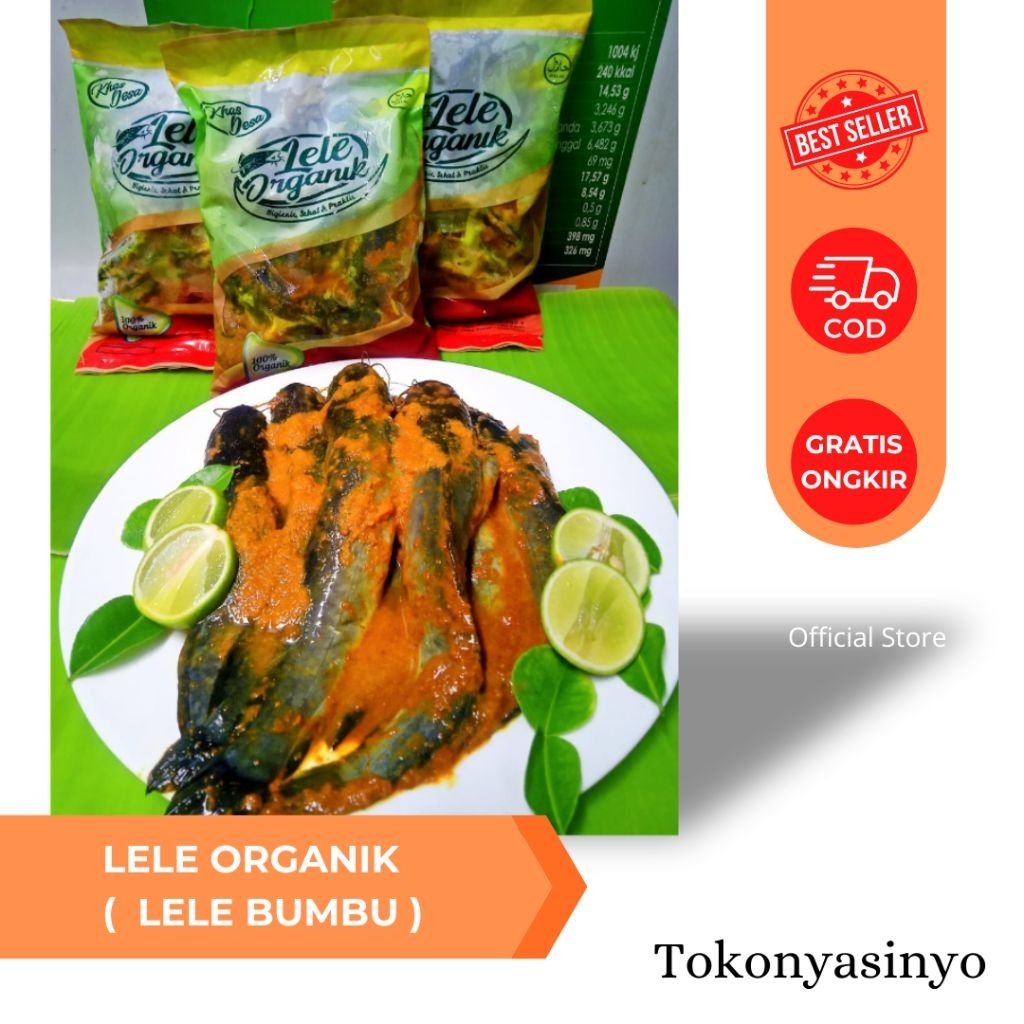 

Lele Organik Bumbu Ungkep — Siap Goreng kemasan 1kg