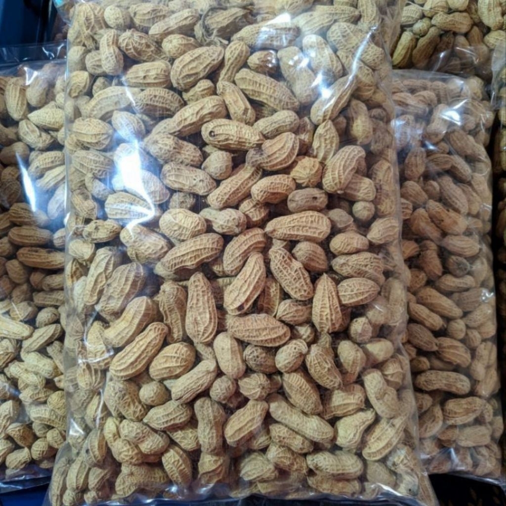 

KACANG KULIT SANGRAI berat 1 kg