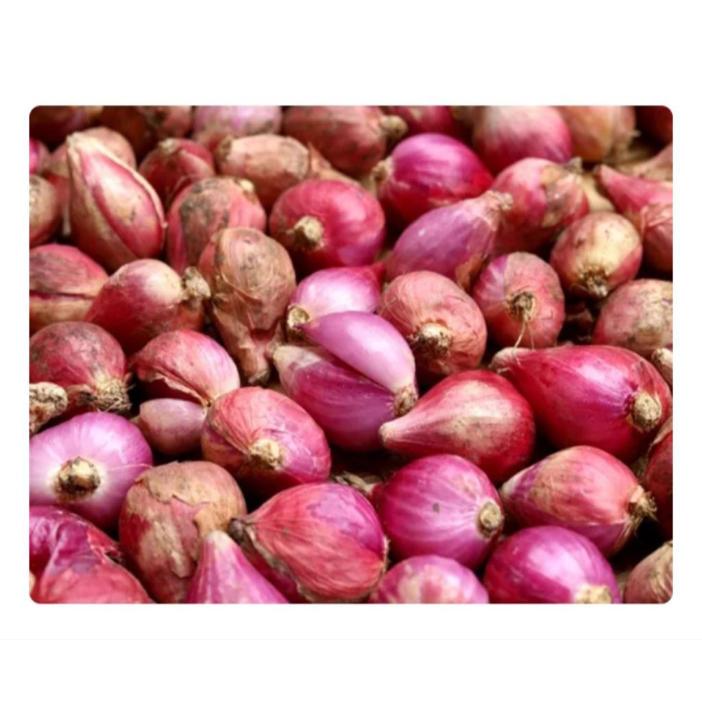 

Bawang Merah 500 gram
