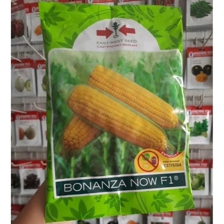 

HOT PROMO !!! Benih Bibit Jagung Manis BONANZA NOW F1 Hibrida Cap Panah Merah SP kemasan asli Isi: 1800 butir/kemasan >> ORIGINAL
