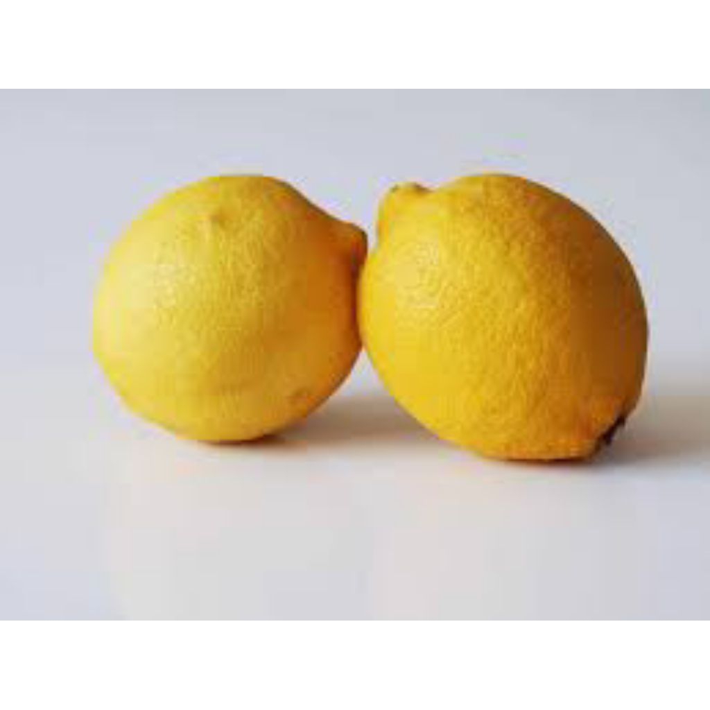 

lemon lokal segar berkualitas