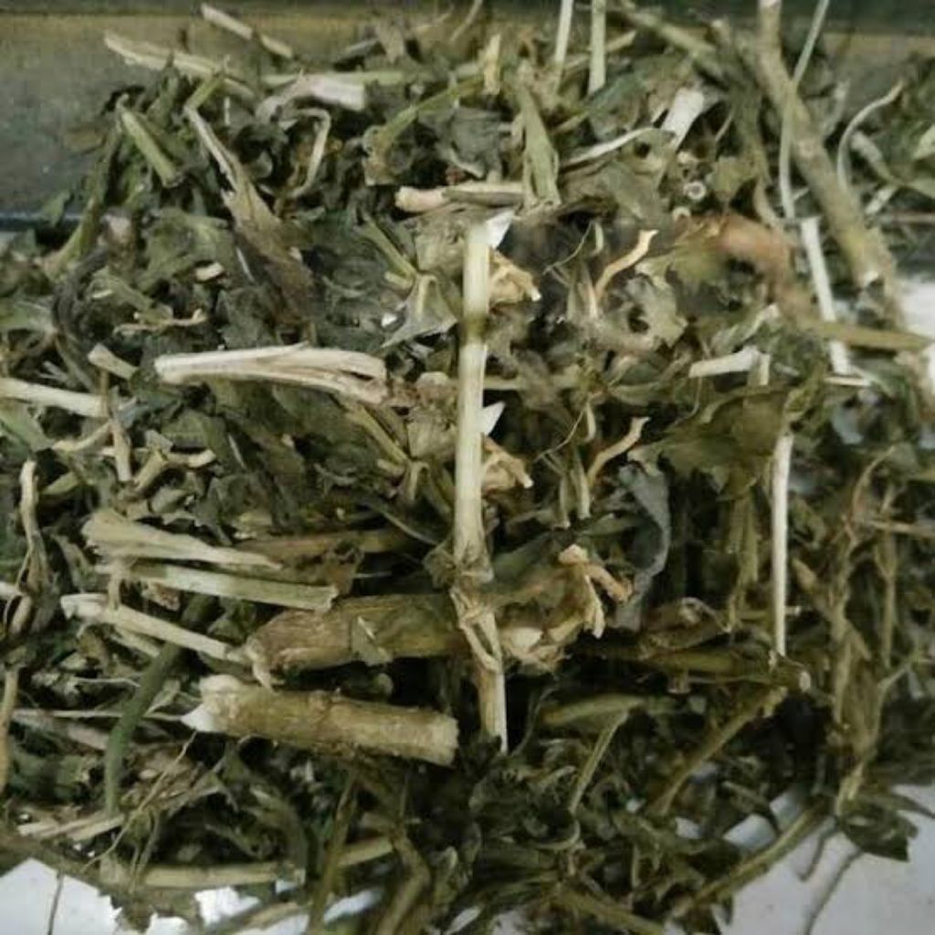 

Daun Tapak Dara Putih Kering / 250Gram