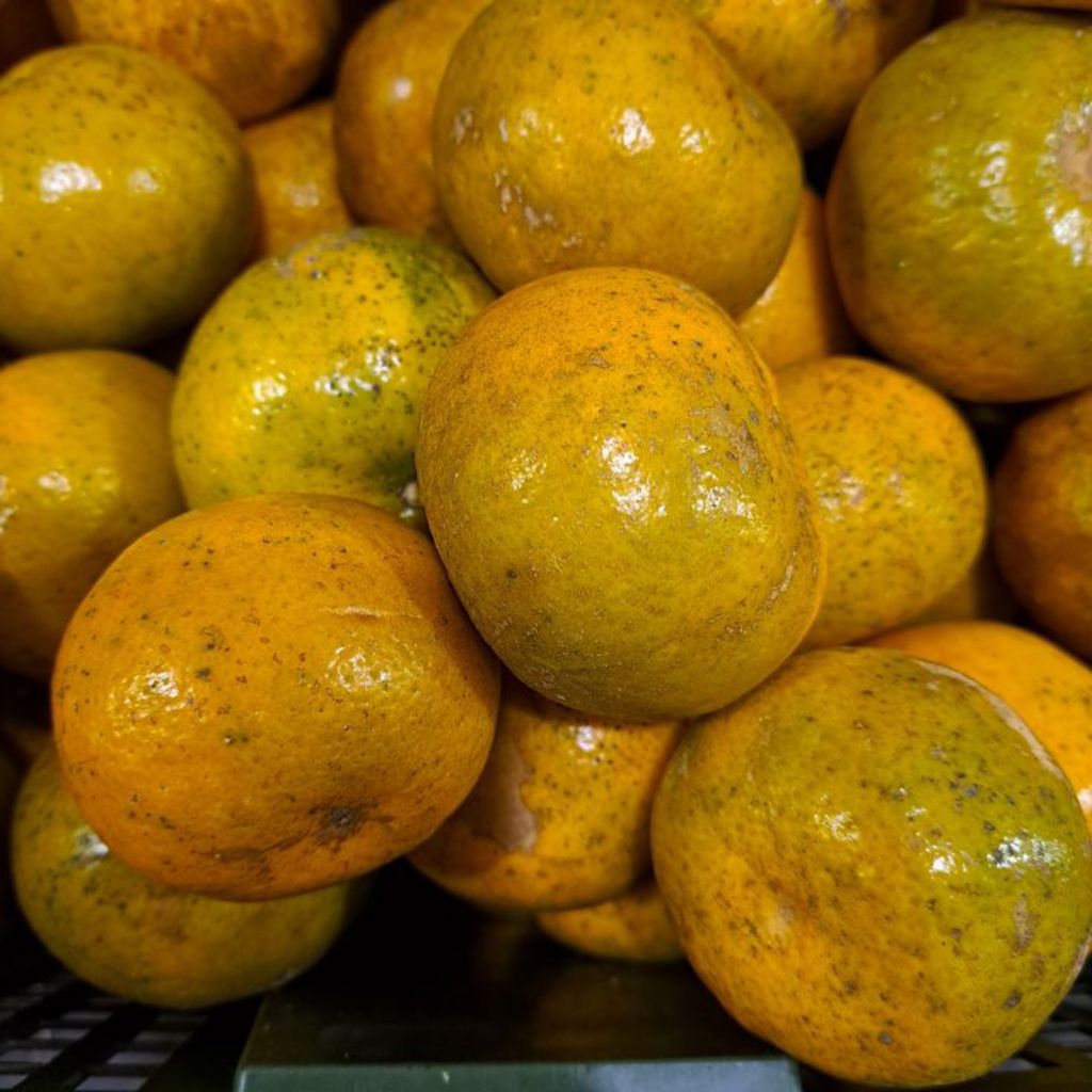 

Jeruk Medan 1 Kg