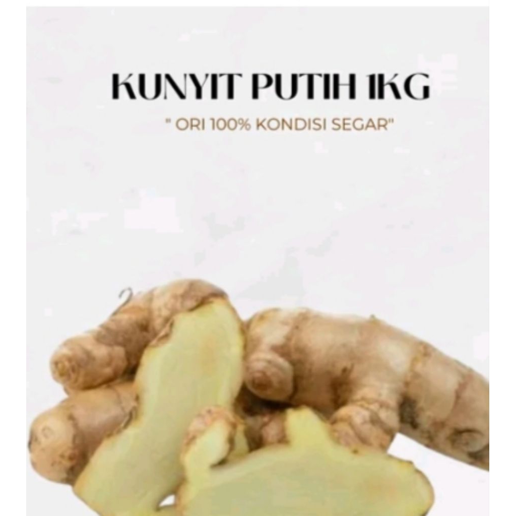 

Temu putih (Curcuma zedoaria) 1kg murah organik