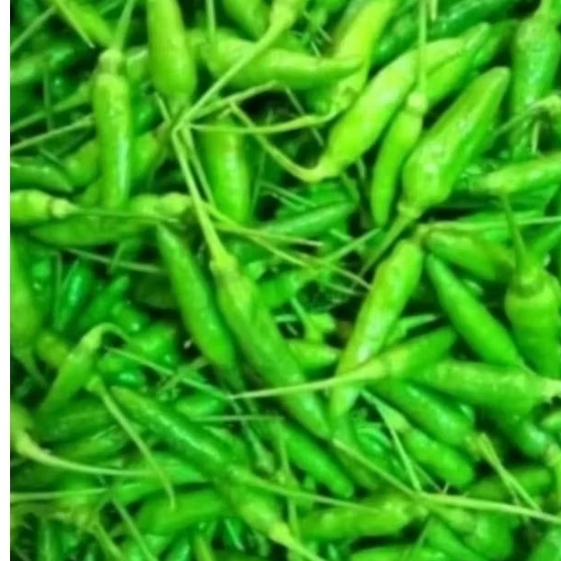

cabe rawit hijau super kemasan 1000gr
