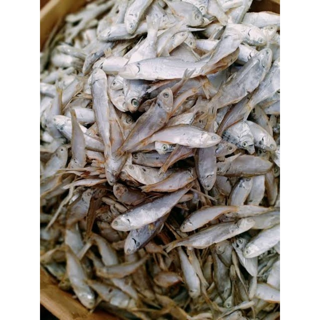 

Ikan asin bilis kecil sedang