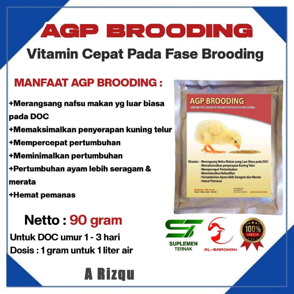 AGP BROODING - VITAMIN BROILER - MASA BRODING - SUPLEMEN AYAM BROILER TERBARU - VITAMIN AYAM BROILER
