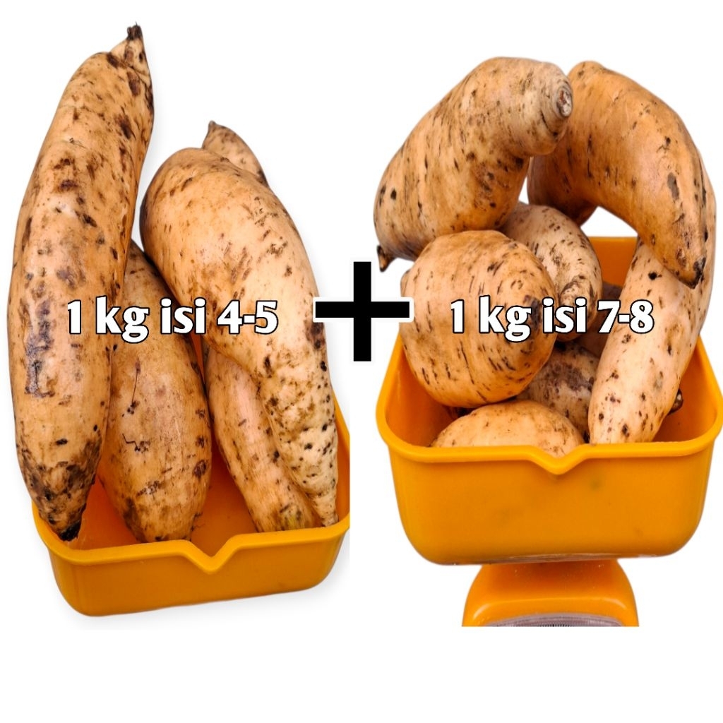 

ubi cilembu madu mix / 2 KG = 1KG ISI 4-5 + 1KG ISI 7-8 / kualitas premium