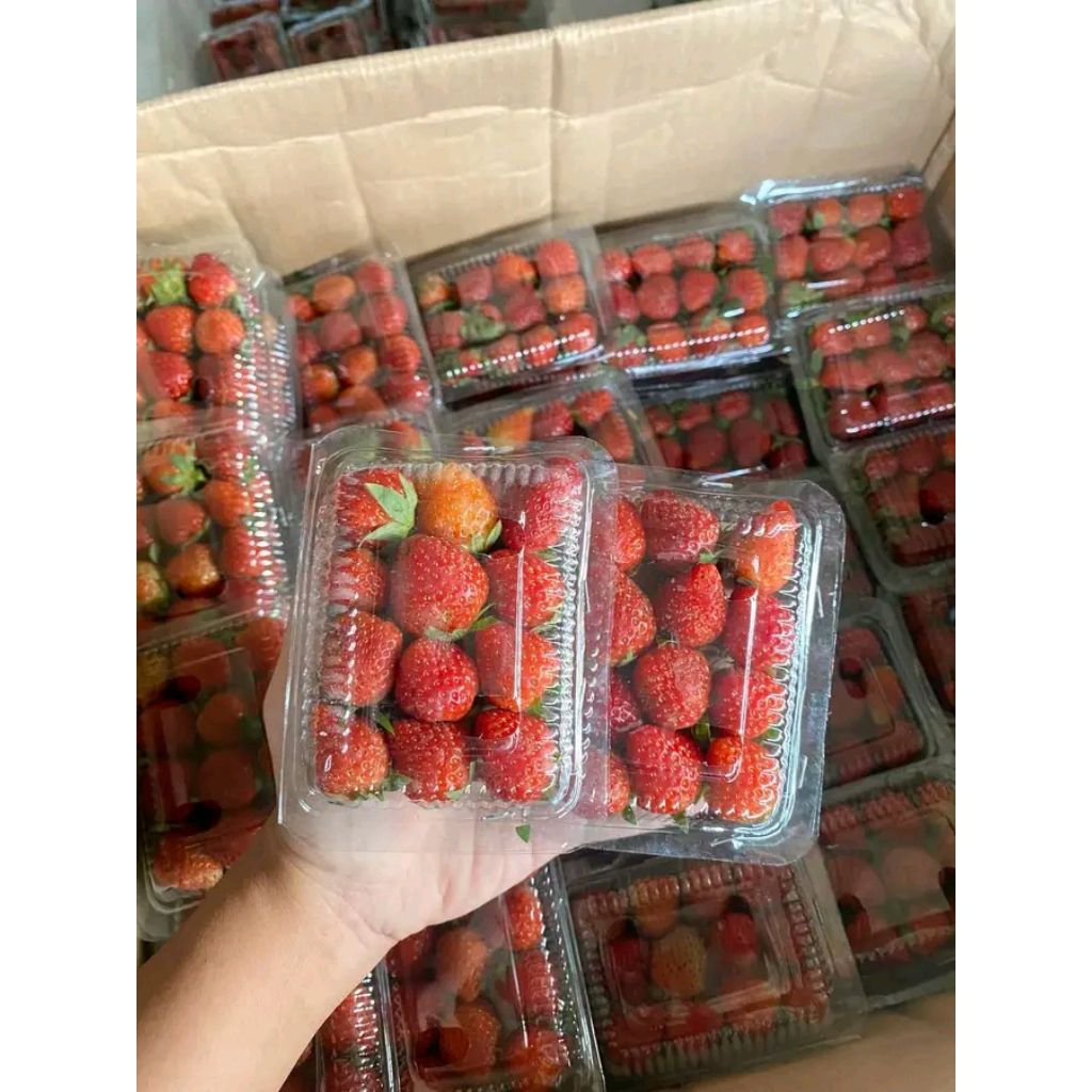 

Buah Stroberi