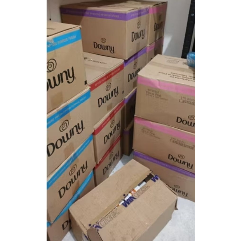 Downy Pewangi Pakaian sachet 1 Dus isi 30 lusin x 360  sachet @24ml