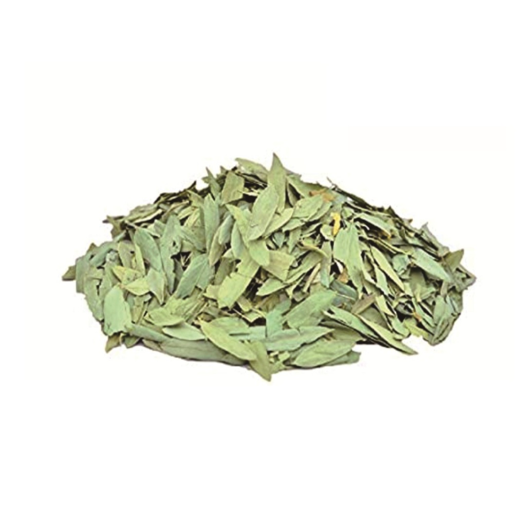 

daun jati cina senna kering dried leaves