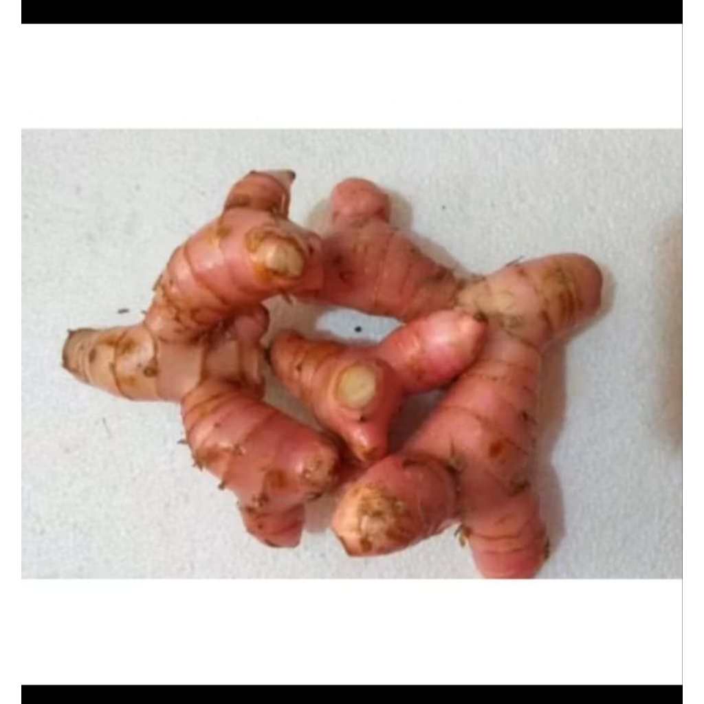 

lengkuas/Laos merah promo hari ini 500grm