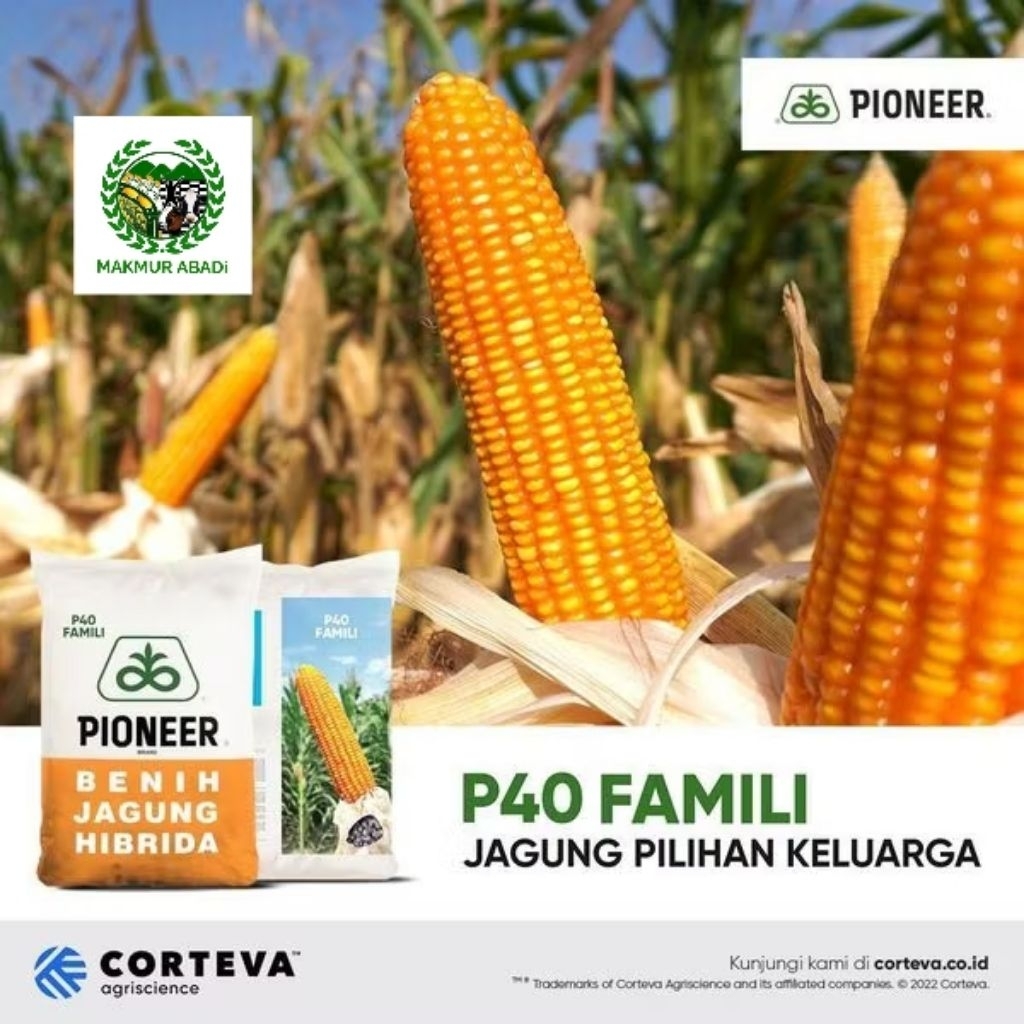 Benih Jagung Pioneer p40 family