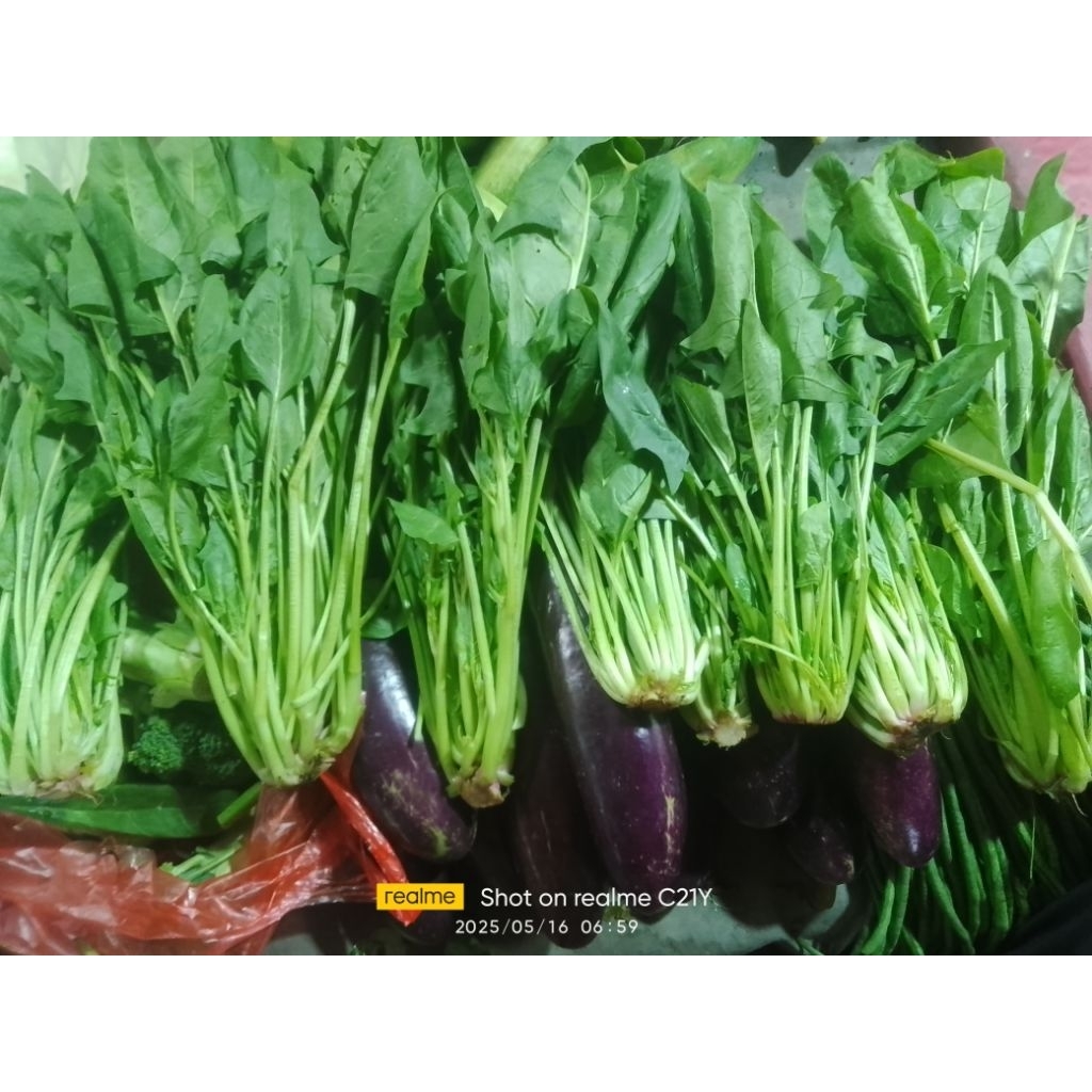 

Sayur kucai segar 1/2 kg