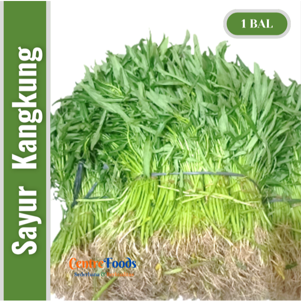 

Sayur Kangkung Segar - Kangkung Bangkok/Air Akar Fresh | Isi 20 Ikat - 8-10 Kg [ Harga Per BAL ]