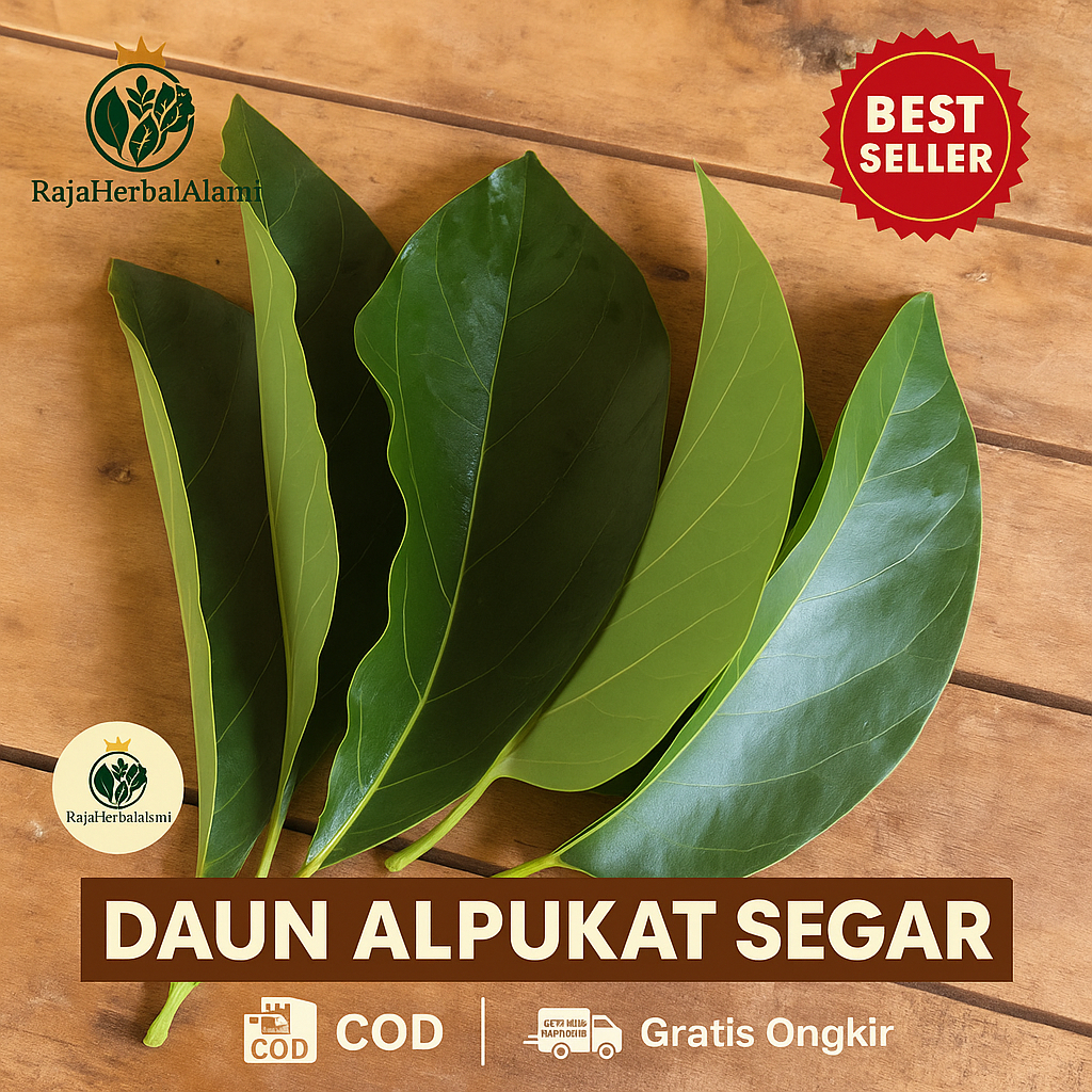 

Daun Alpukat Segar Isi 50 Lembar – Menurunkan Tekanan Darah & Kesehatan Ginjal I COD & GRATIS ONGKIR