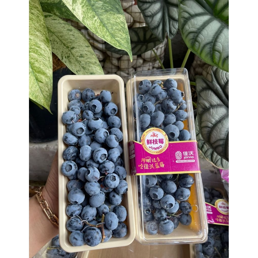 

blueberry tangkai Jumbo Joyvio fresh 250gr