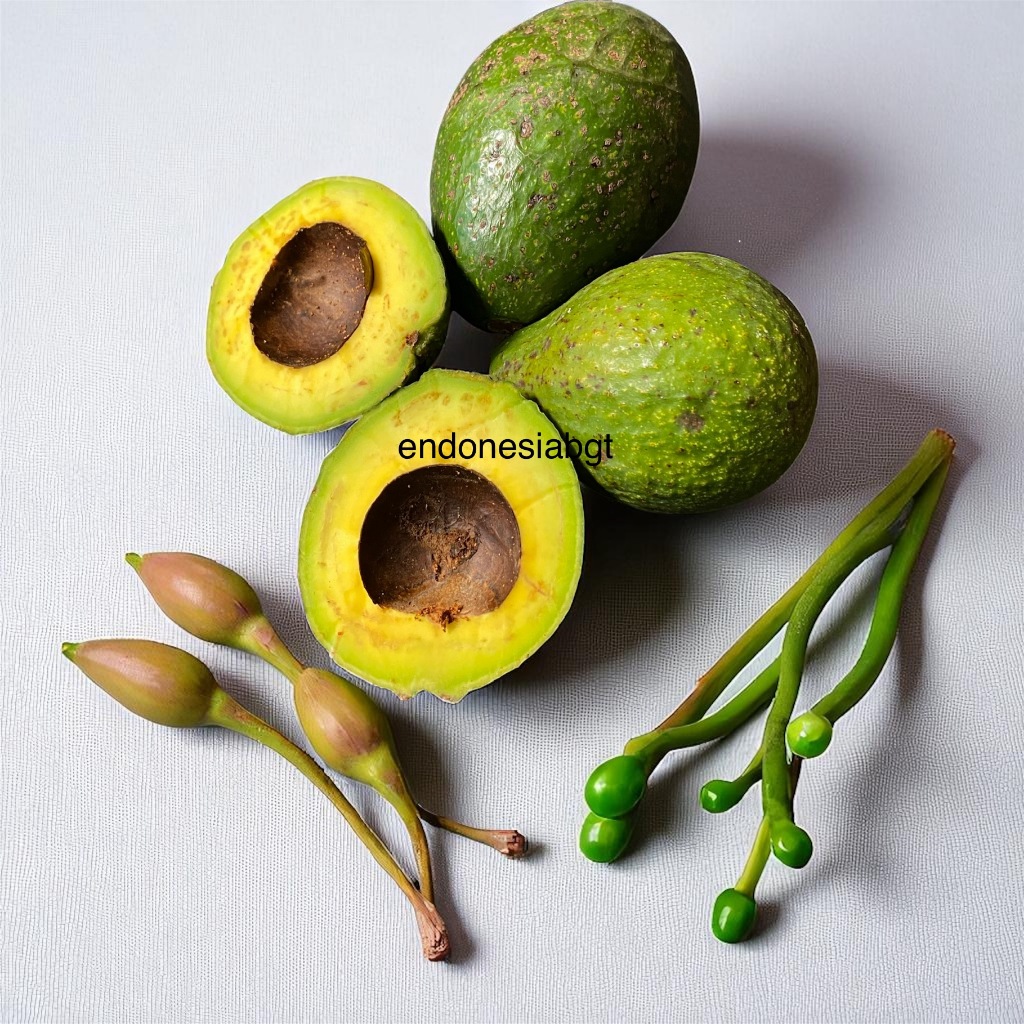 

SALE Buah Alpukat Mentega 1kg Isi Keadaan Mengkal Mentah Murah