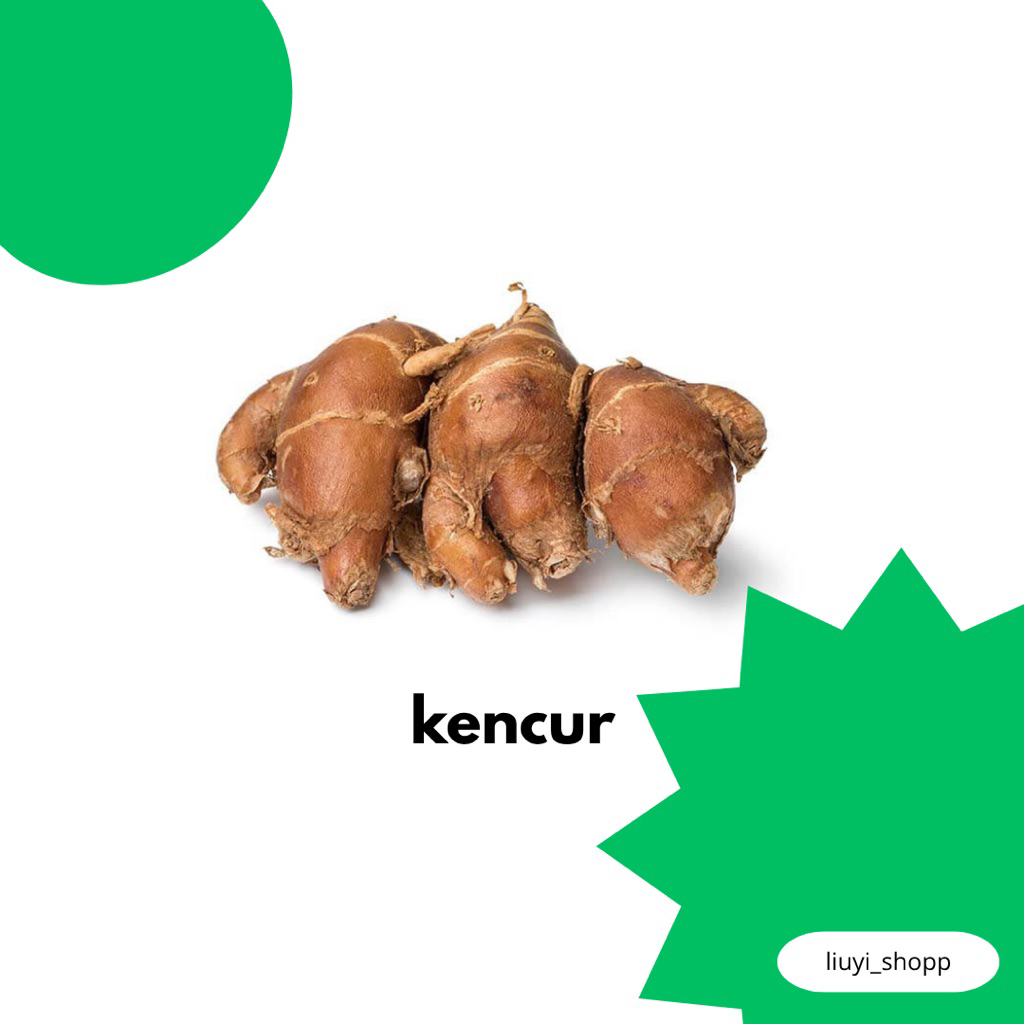 

kencur segar 100gram kualitas unggul