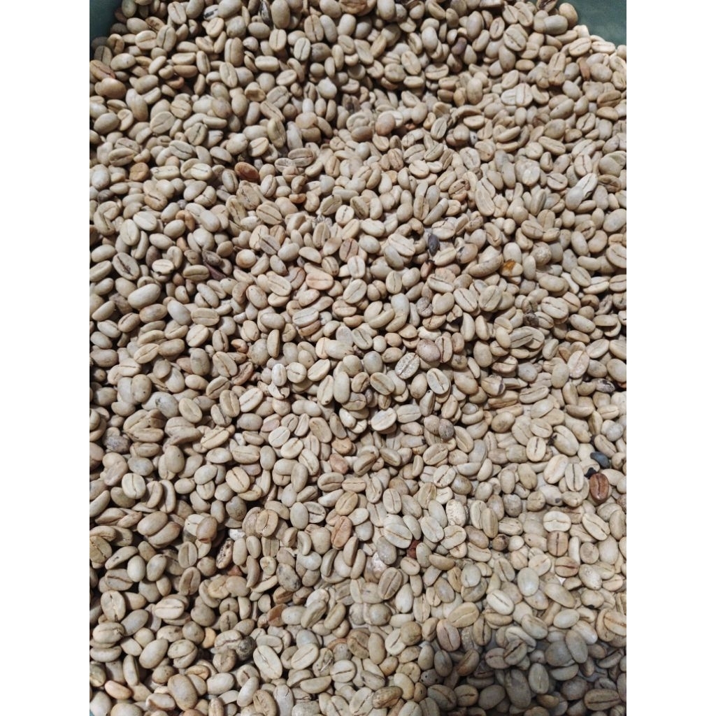 

Kopi Luwak Liar arabica 1kg