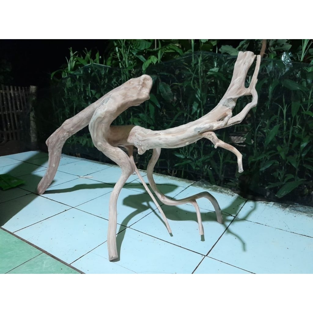tangkringan (IGUANA/dari bahan akar kayu kopi panjang 120cm redyy
