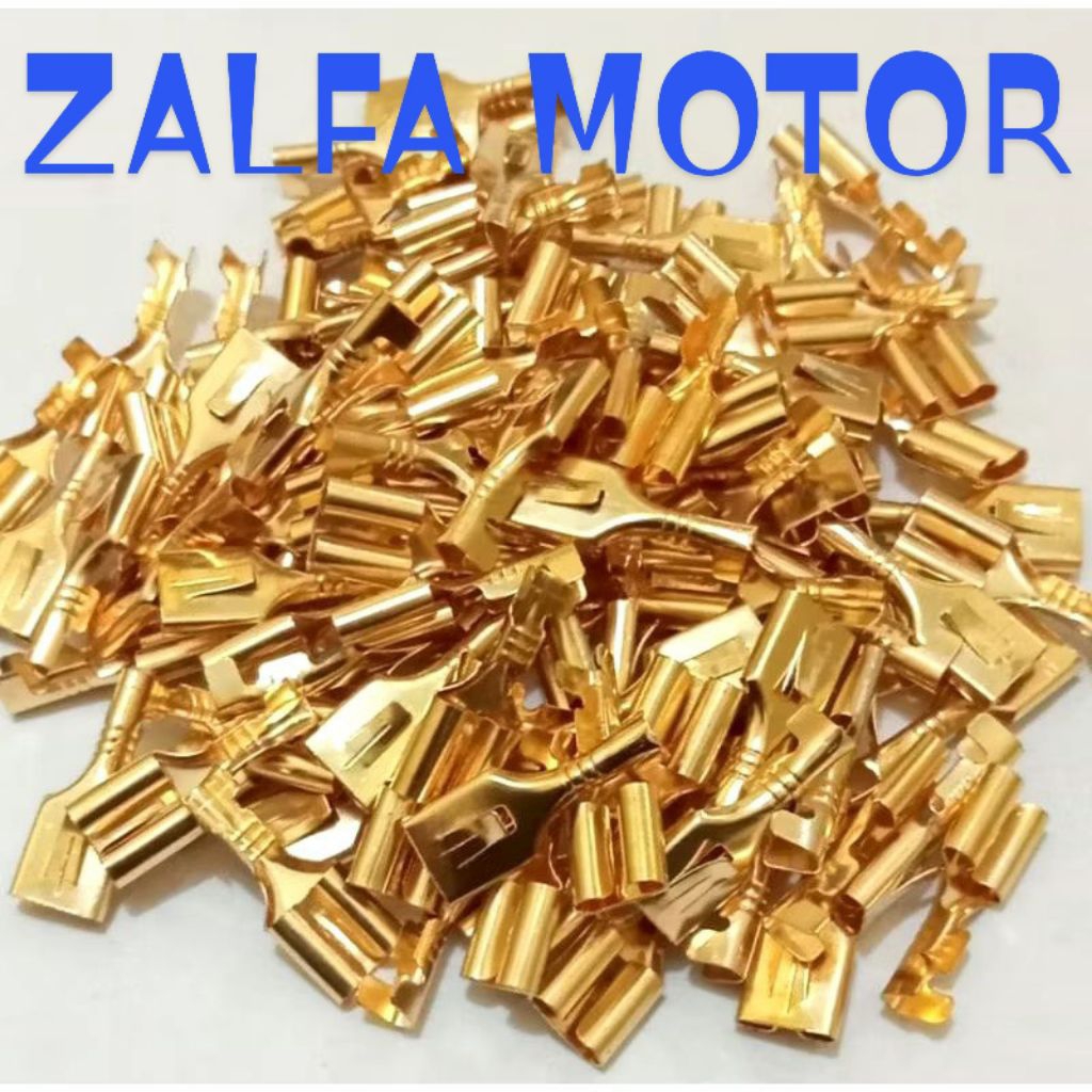 SKUN SEKUN GEPENG KUNINGAN MURNI 100% - SKUN SEKUN GEPENG FEMALE ( CEWEK)