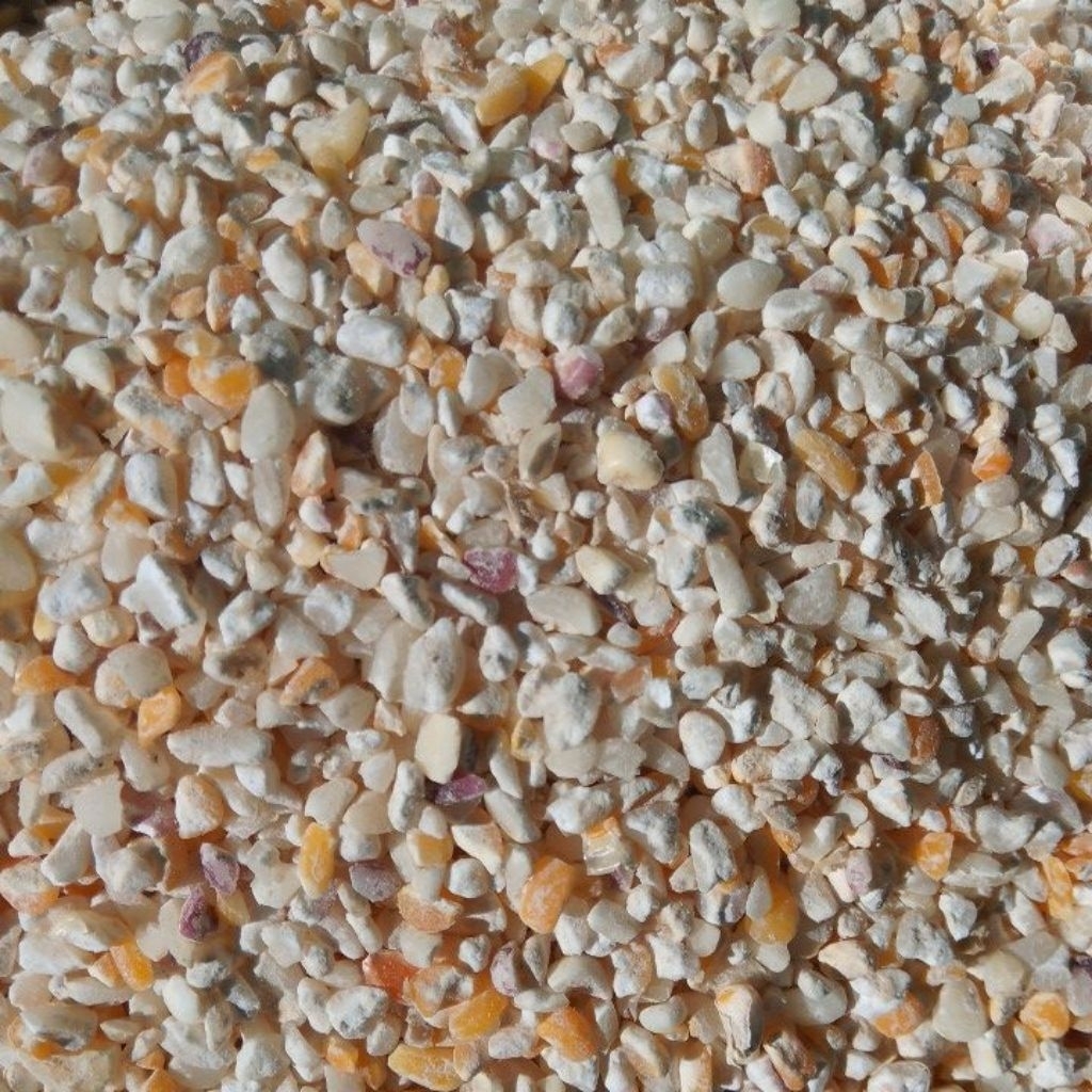 

Jagung Bose dari Jagung putih yang ditumbuk 500 gr