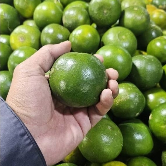 

Jeruk peras brastagi fresh jus jeruk