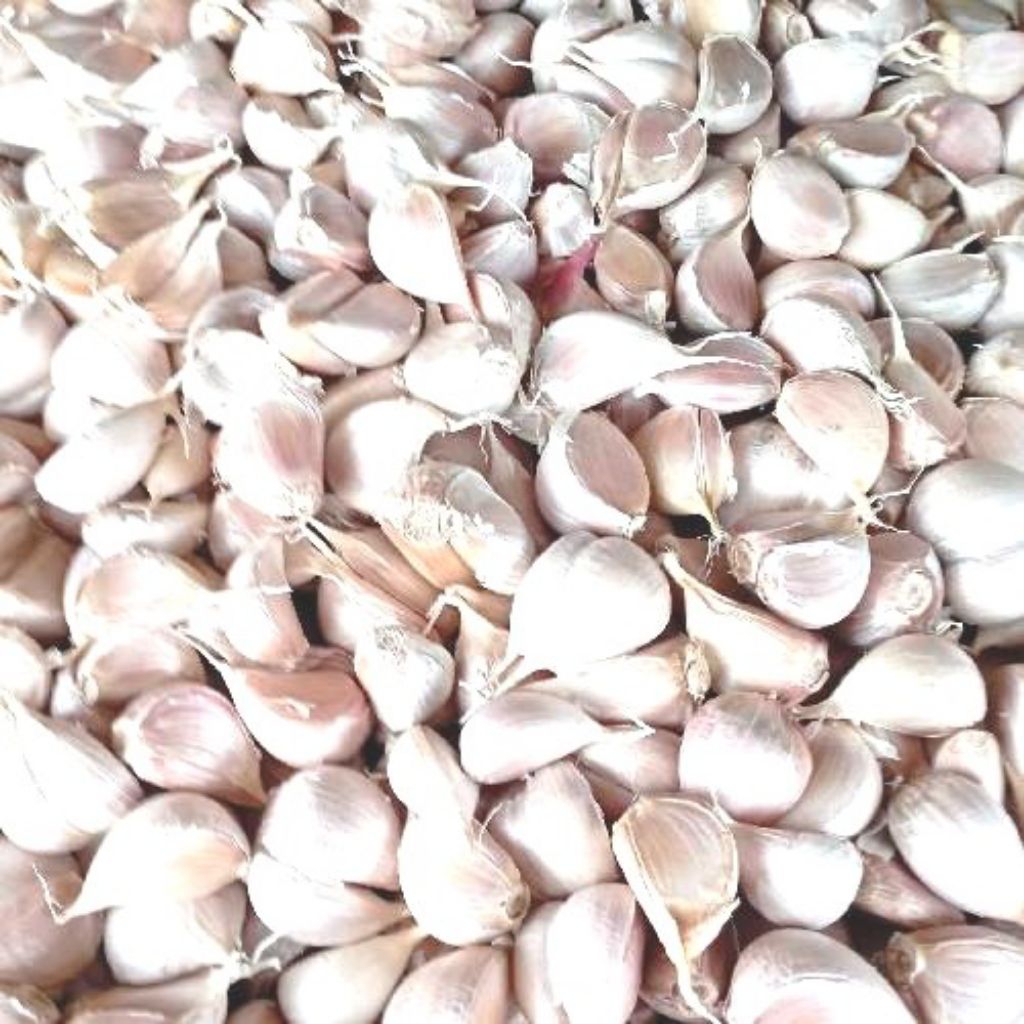 

bawang kating sedap 500gr